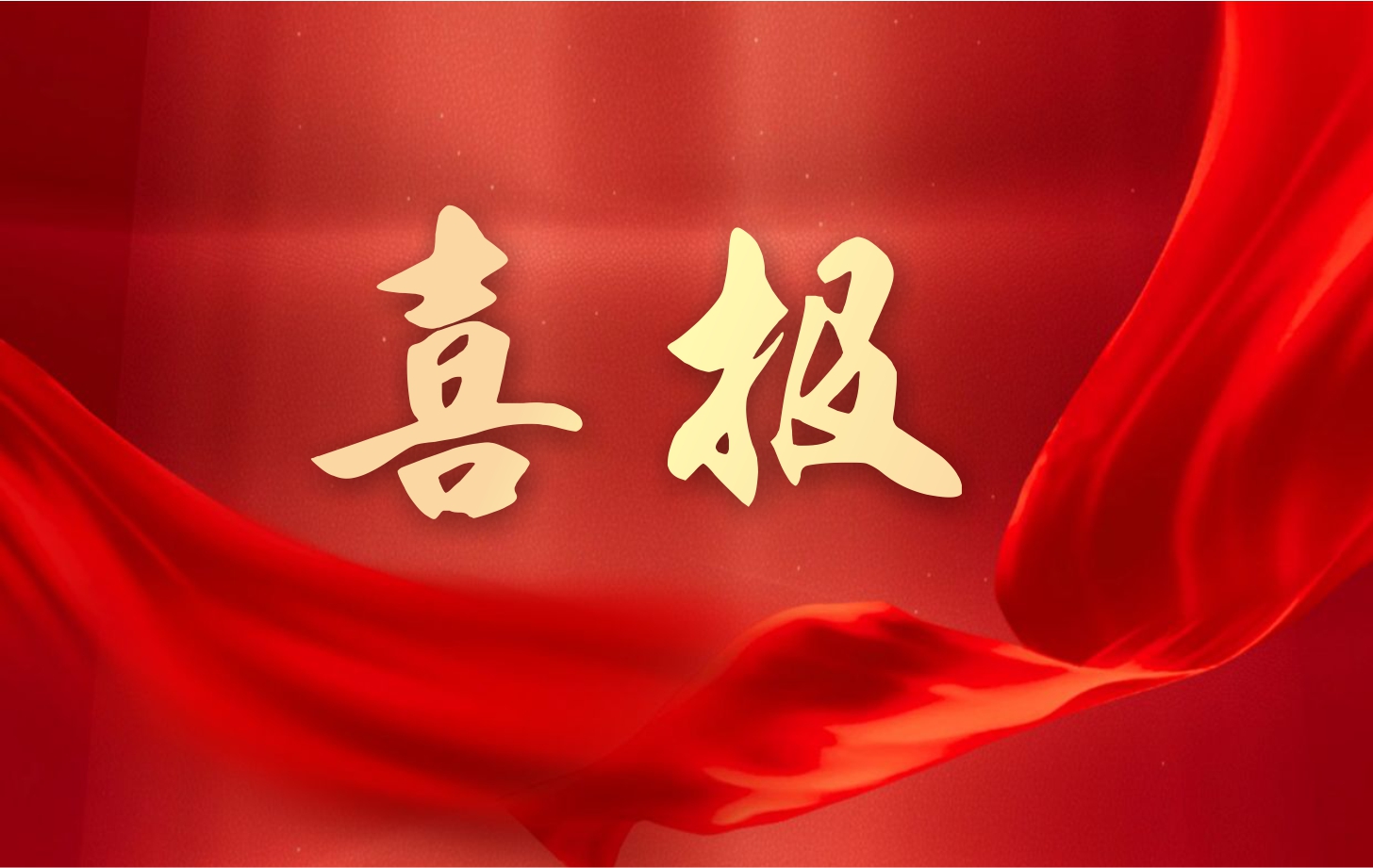 营收净利双增长！依顿电子2025年一季度经营业绩续写高质量发展华章